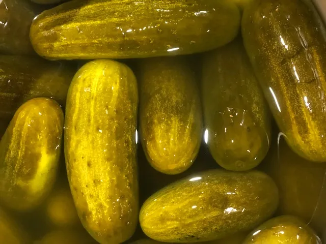 Whole dill pickles floating in brine