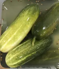 Whole Half Sour Pickles In store only