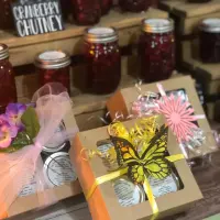 Sampler Box No shipping