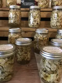 Pickled Mushrooms 8oz & 16oz