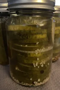 Onion & Garlic Pickle