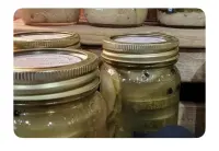 Horseradish Garlic Dill Pickles