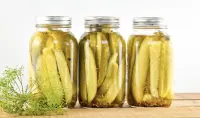 Good Old Kosher Pickle